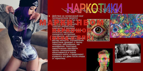 a pvp Богданович