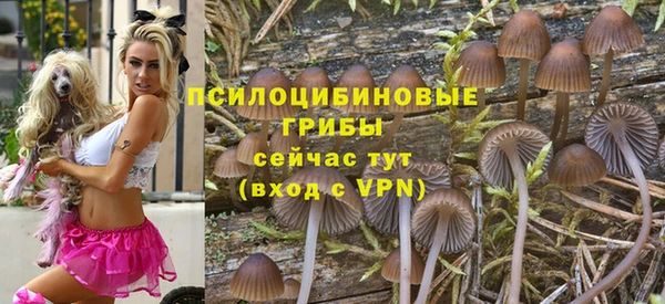 jwh Богородицк
