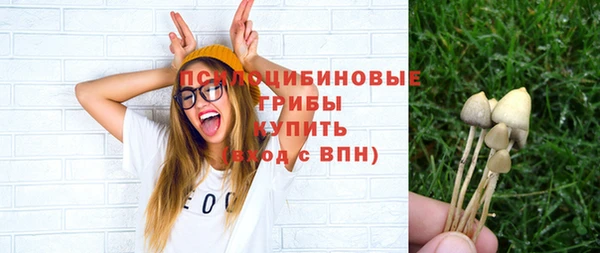 прущая мука Богородск